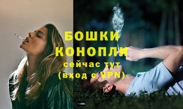 мдпв Осташков