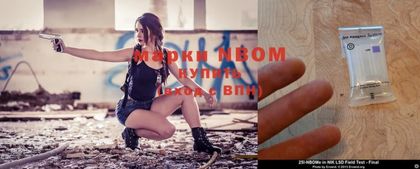 мдпв Осташков