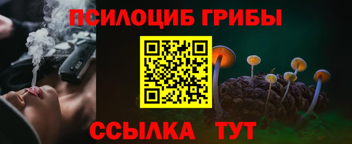 Сызрань  Галлюциногенные грибы GOLDEN TEACHER  Вход с VPN  Псилоцибиновые грибы Cubensis 