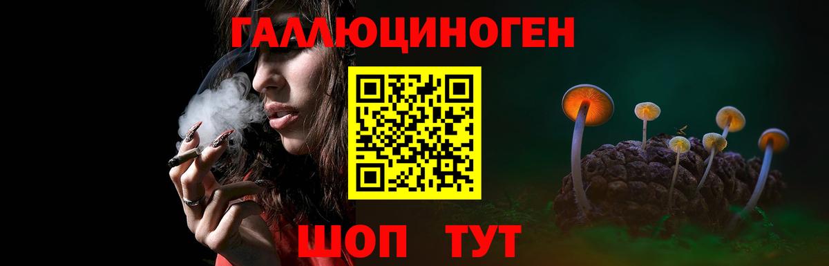 Псилоцибиновые грибы GOLDEN TEACHER Сызрань